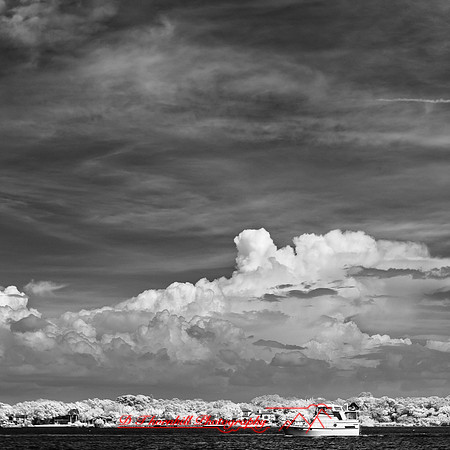 florida-2012-infrared-images_39