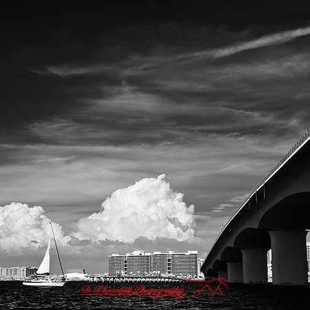 florida-2012-infrared-images_43