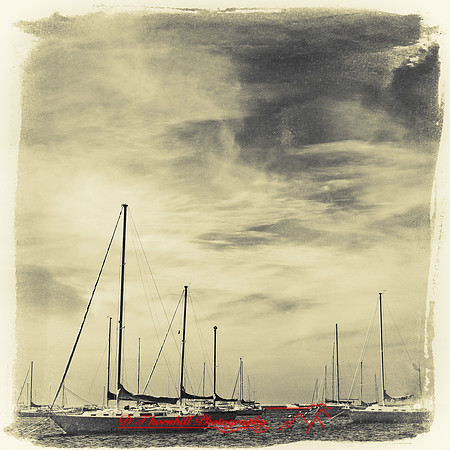 florida-2012-infrared-images_45-nas