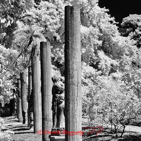 florida-2012-infrared-images_51