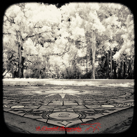 florida-2012-infrared-images_52-nas