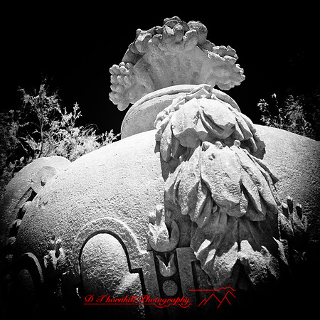 florida-2012-infrared-images_54