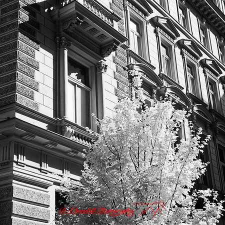 2025 - river cruise - 254_DxO