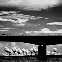 florida-2012-infrared-images_11