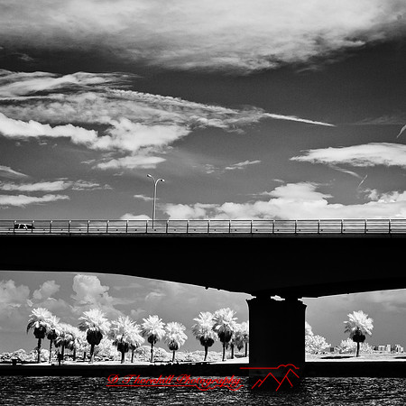 florida-2012-infrared-images_11