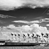 florida-2012-infrared-images_10
