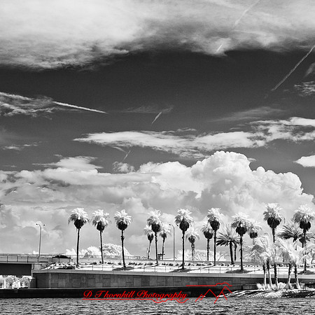 florida-2012-infrared-images_10
