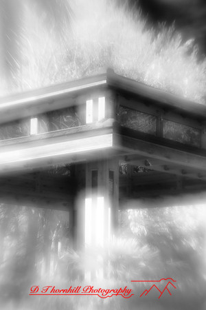 florida-2010-infrared-images_06