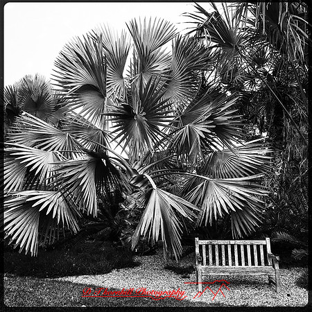 florida-nov-2015-iphone-images-118