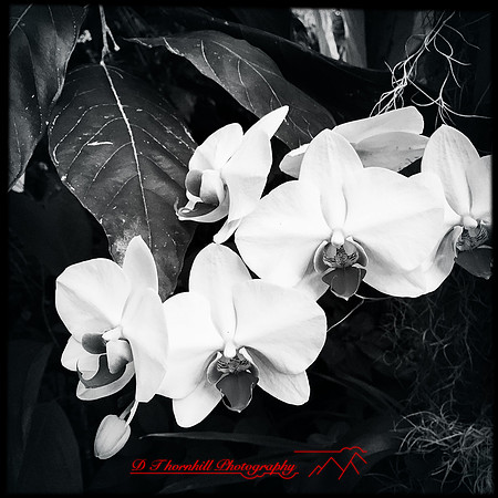 florida-nov-2015-iphone-images-109