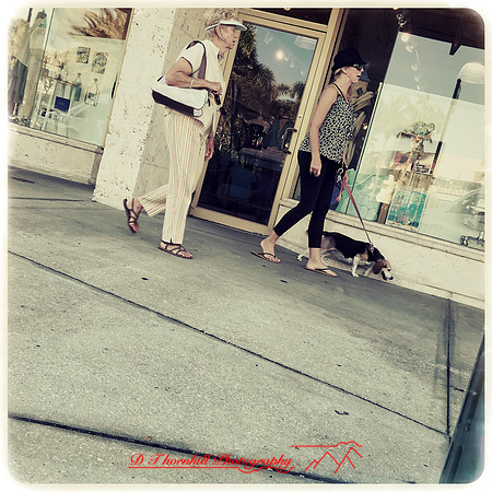 florida-nov-2015-iphone-images-091