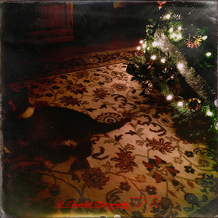 iPhone-2018-pets-032