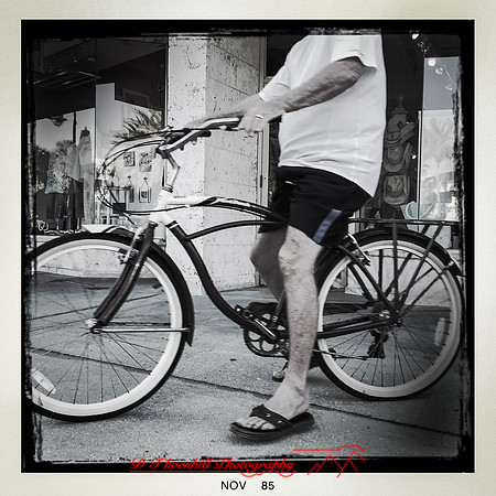 florida-nov-2015-iphone-images-094