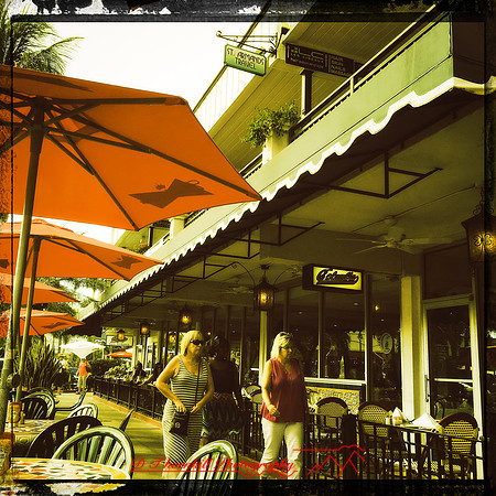 florida-nov-2015-iphone-images-084
