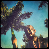 florida-nov-2015-iphone-images-095