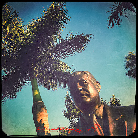florida-nov-2015-iphone-images-095