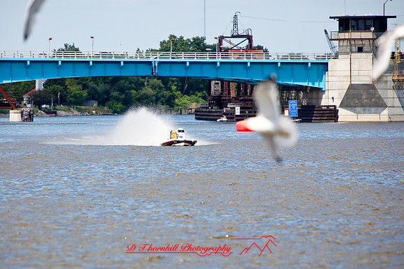 river-roar-random-2009_11.jpg