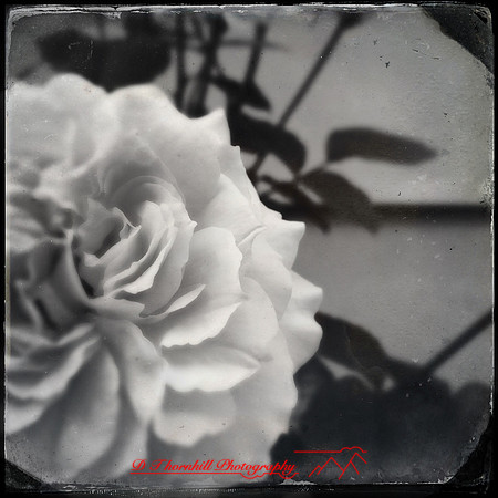 iPhone-2018-random-049