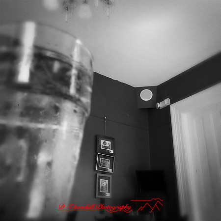 iPhone-2018-random-013