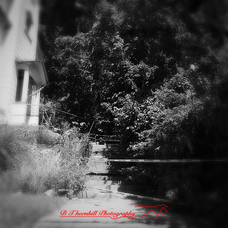 iPhone-2018-random-011