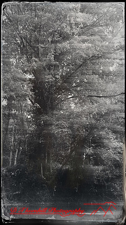 iPhone-2018-random-043