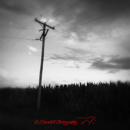 iPhone-2018-random-018