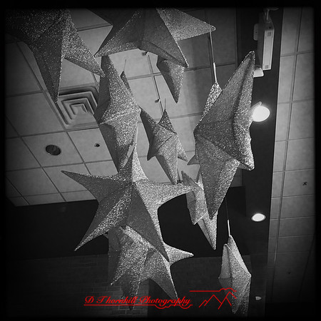 iPhone-2018-random-273