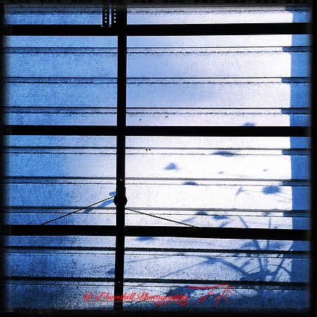 iPhone-2018-random-136
