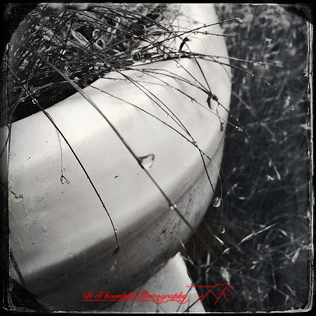 iPhone-2018-random-160