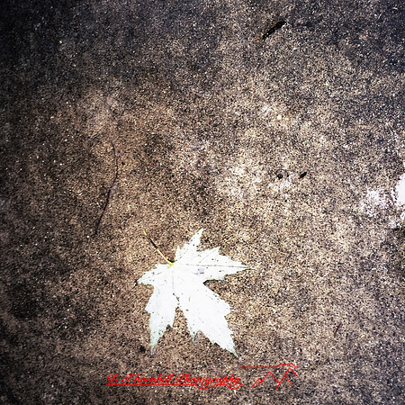 iPhone-2018-random-196