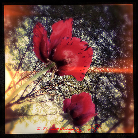 iPhone-2018-random-152