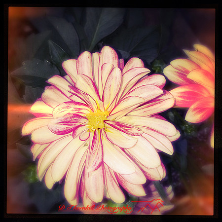 iPhone-2018-random-153