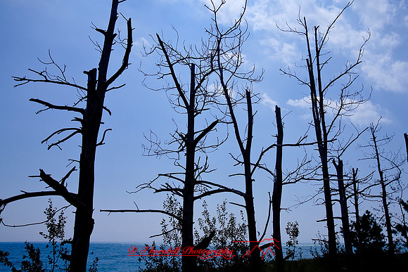 tawas-state-park-2008_03.jpg