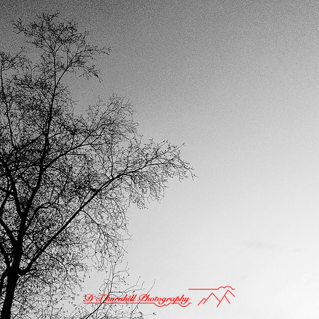 iPhone-2018-random-222