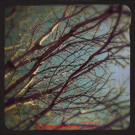 iPhone-2018-random-225