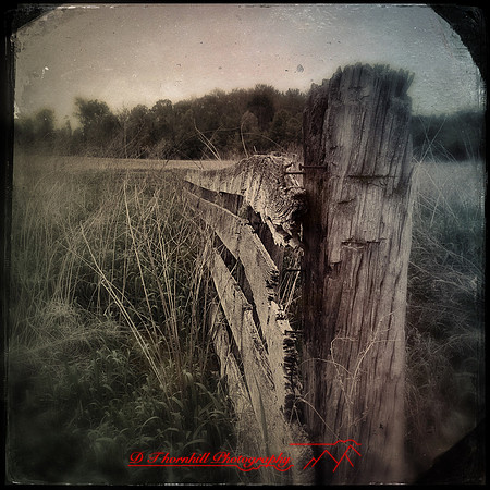iPhone-2018-random-242