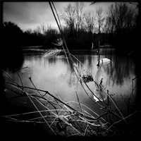 iPhone-2018-random-206