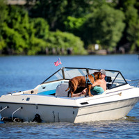 rocking on the river-2019-122