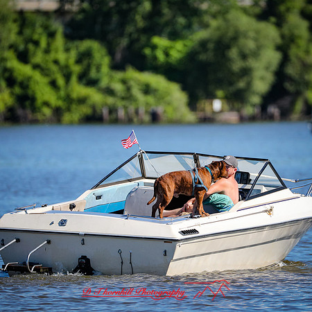 rocking on the river-2019-122