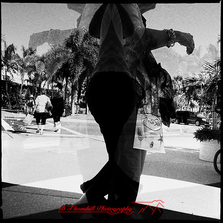 florida-nov-2014-iphone-images-140