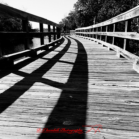 florida-nov-2014-iphone-images-123-nas