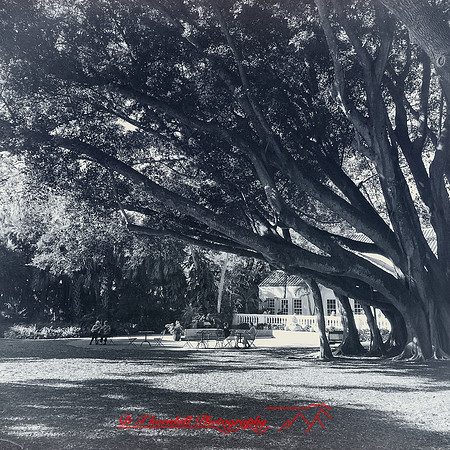 florida-nov-2014-iphone-images-143