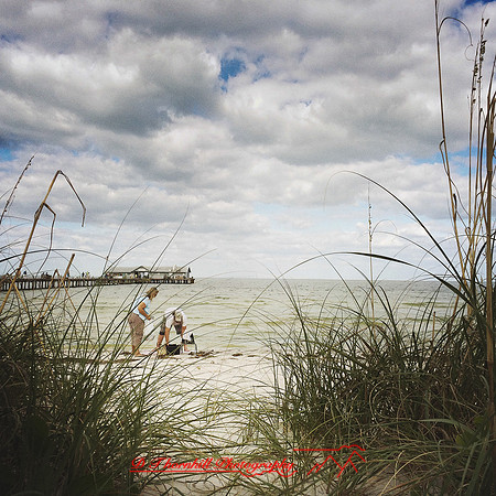 florida-nov-2014-iphone-images-149