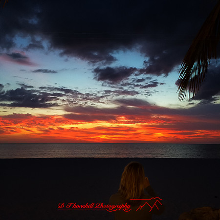 florida-nov-2014-iphone-images-152-nas
