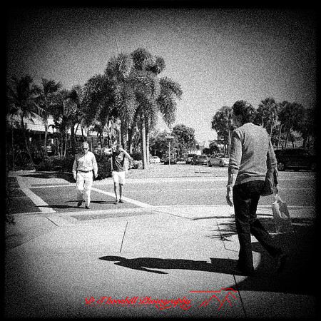 florida-nov-2014-iphone-images-136