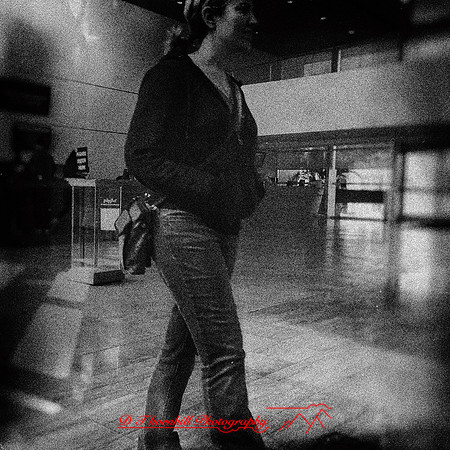 florida-nov-2014-iphone-images-128-nas