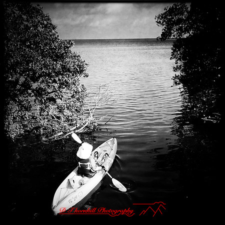 florida-march-2015-iphone-people-011