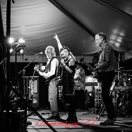 saginaw bash 2017 Road Dawgz-001