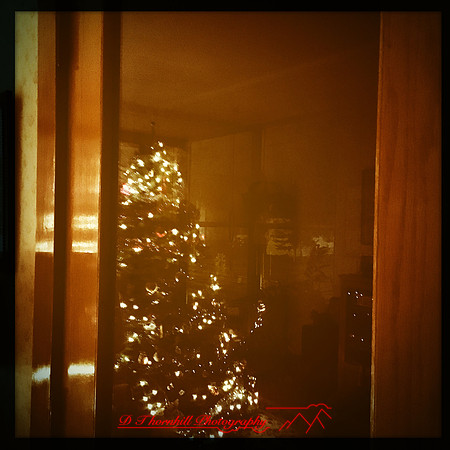 iPhone-2018-random-098