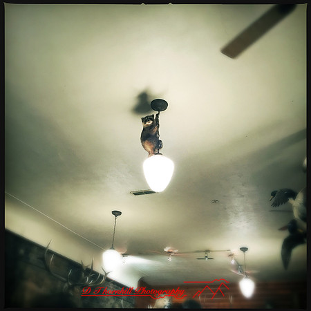 iPhone-2018-random-082